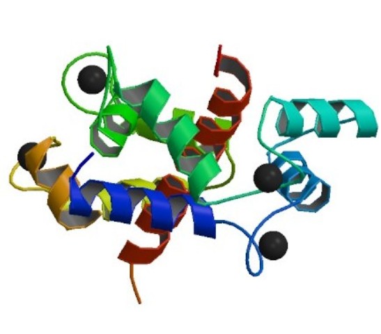 PBB_Protein_RYR1_image|dantrolene-image01|1|2