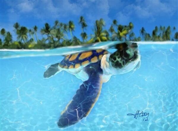 Artwork - Happy Turtle